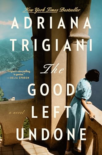 The Good Left Undone: A Novel - 4139