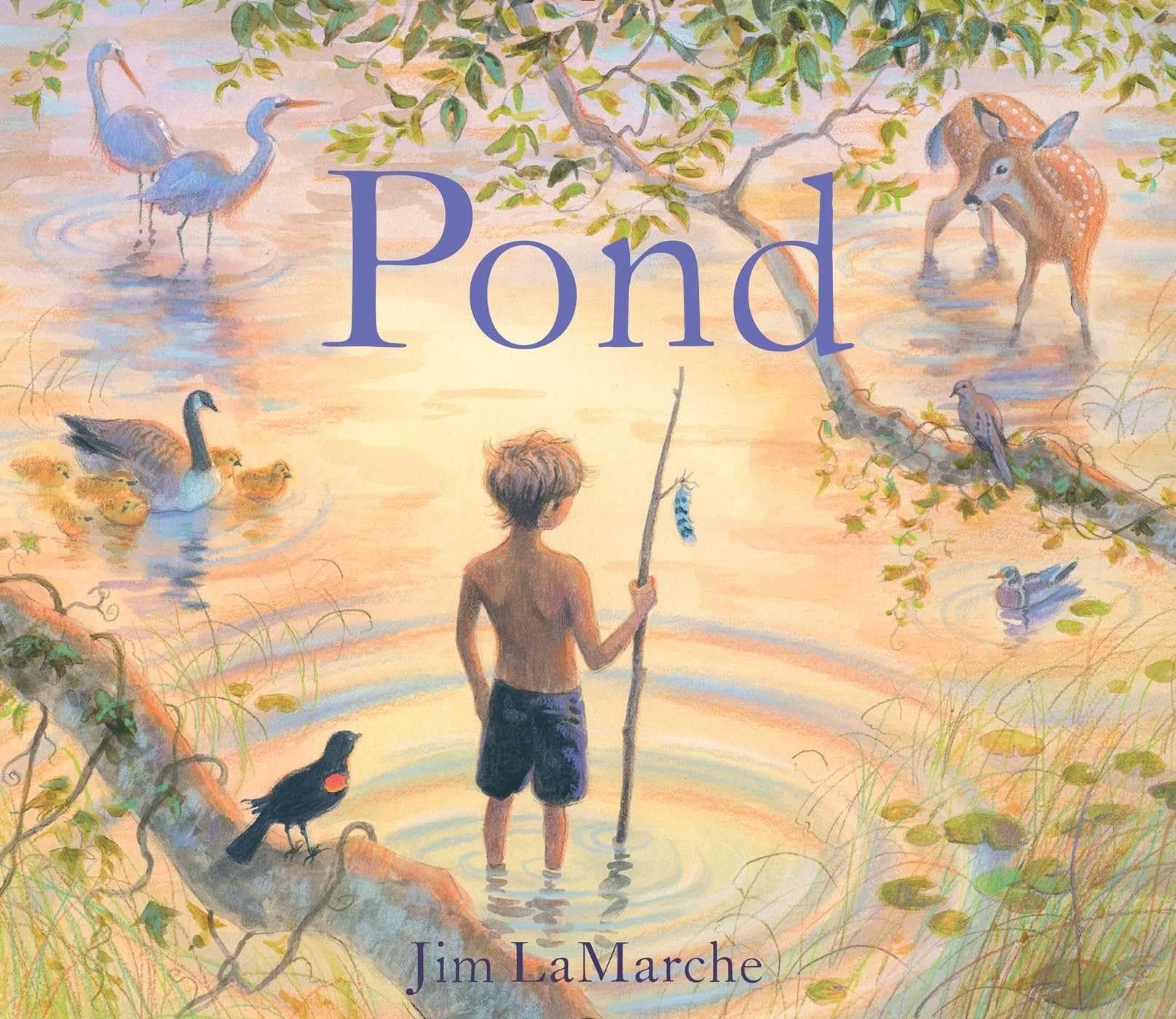 Pond - 8608