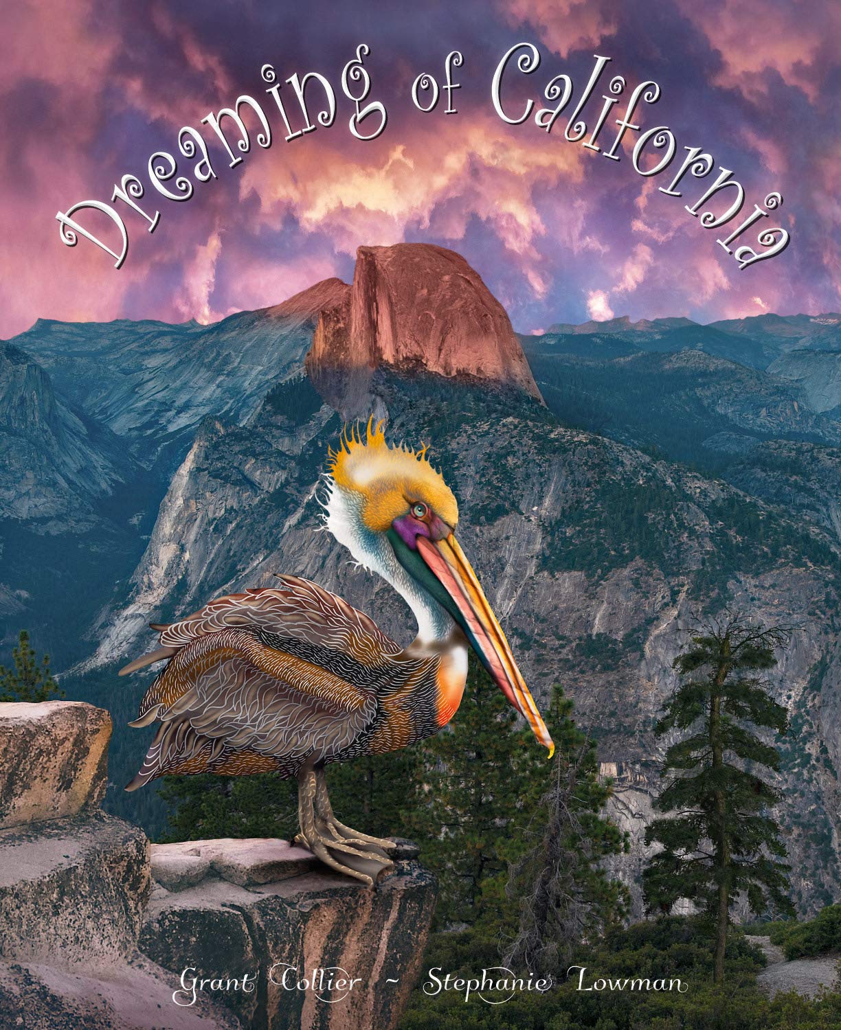 Dreaming of California (An educational children's picture book about Yosemite, the Redwoods, San Francisco, the gold rush, and more - a great bedtime / good night story for kids ages 5-10) - 8530