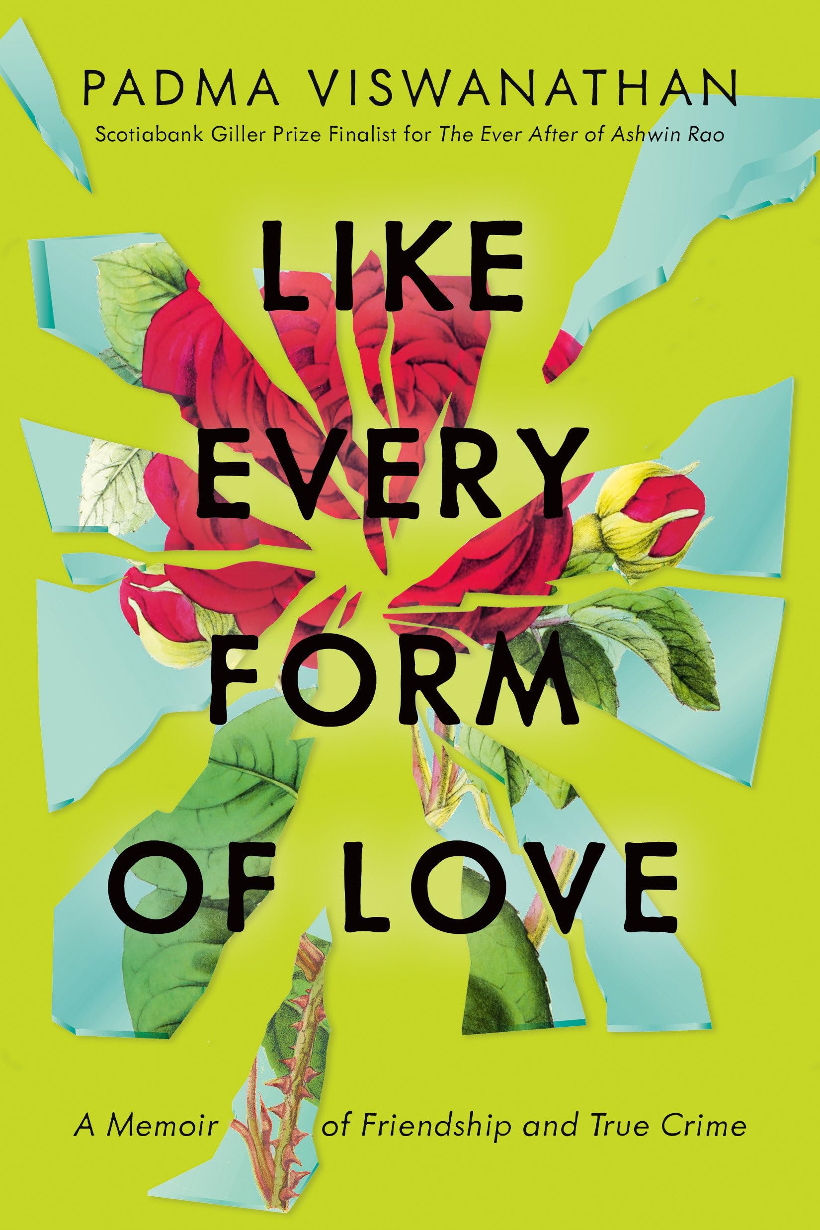 Like Every Form of Love: A Memoir of Friendship and True Crime - 3470