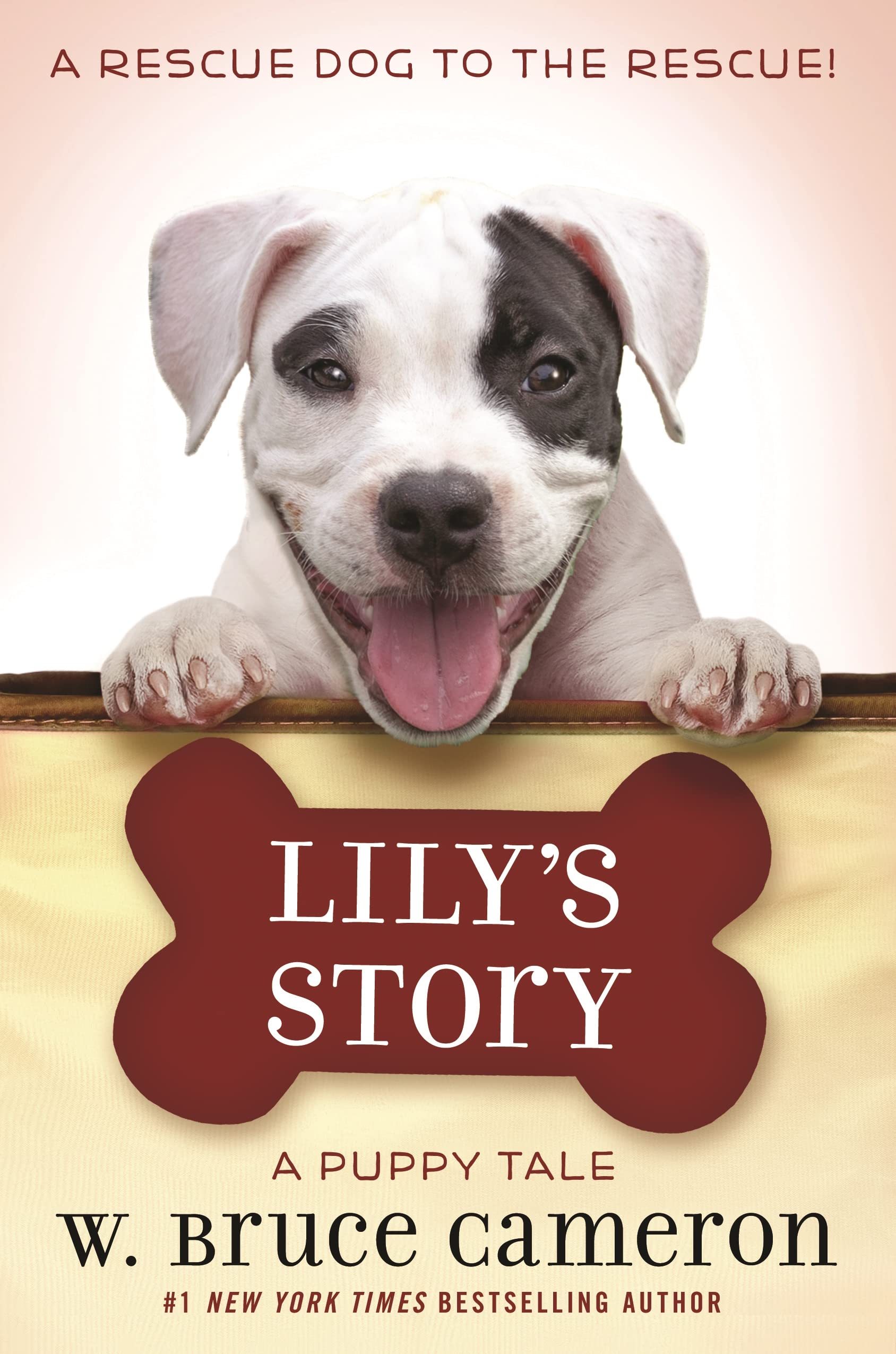 Lily's Story: A Puppy Tale - 644