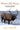 Where Elk Roam: Conservation And Biopolitics Of Our National Elk Herd - 548