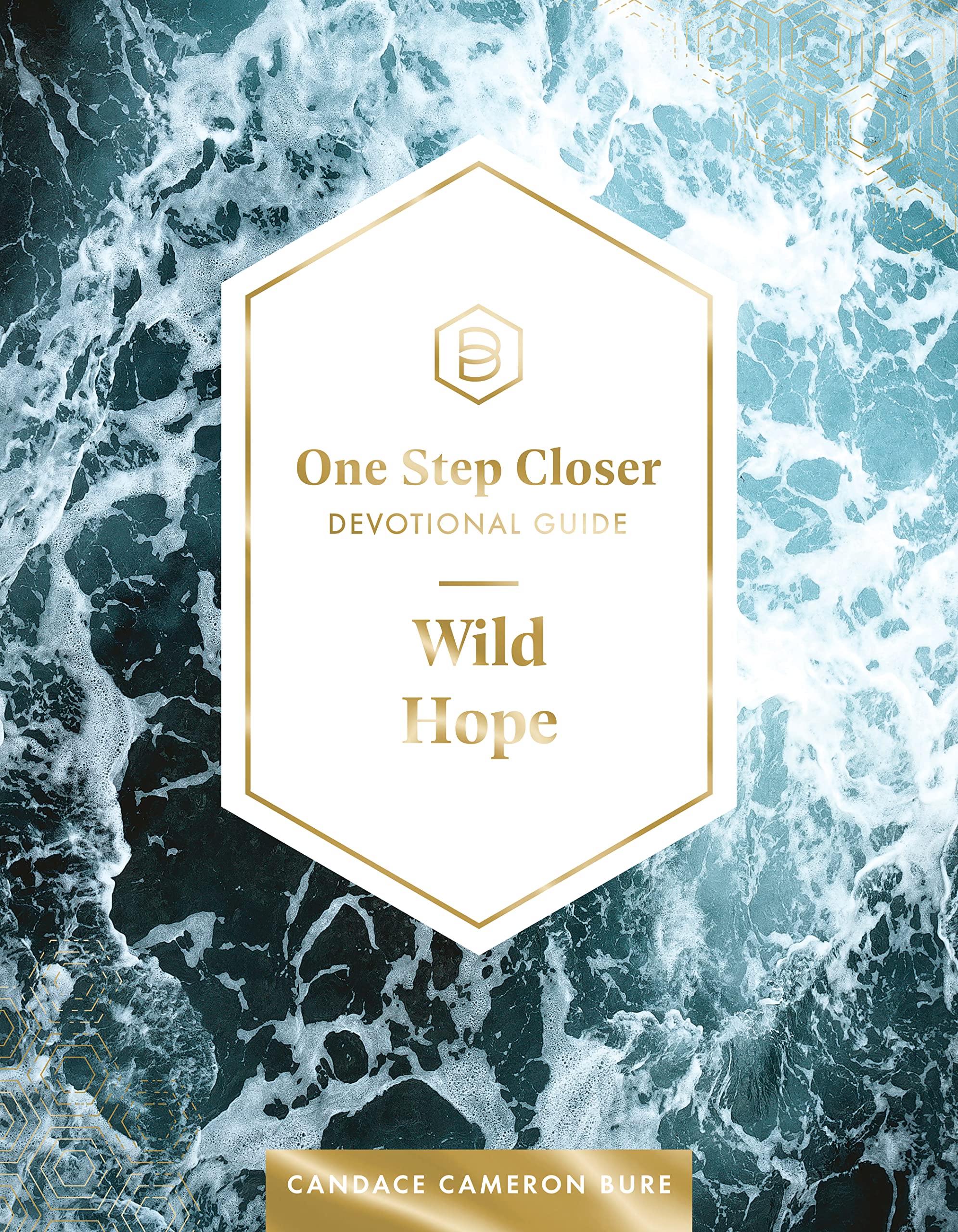 Wild Hope: One Step Closer Devotional Guide - 4775