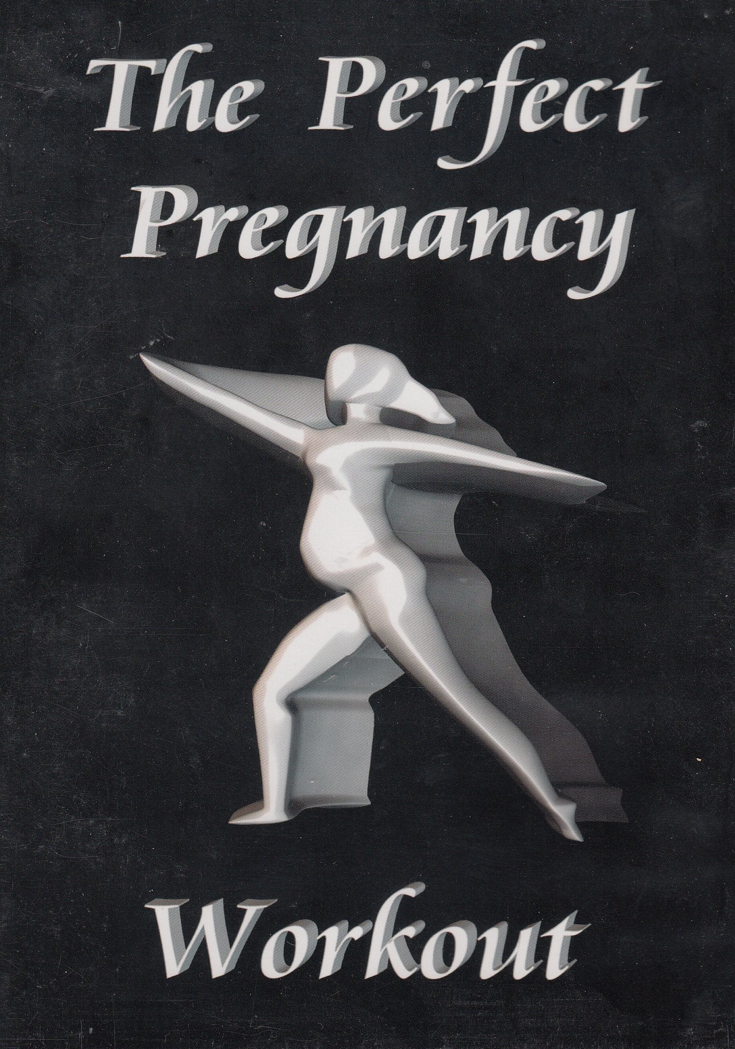 The Perfect Pregnancy Workout, Vol. 1: Sculpting (2002 Release) - 3992