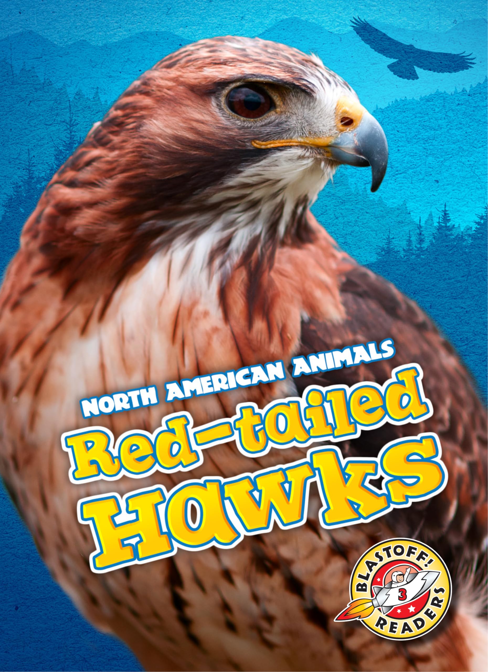 Red-tailed Hawks (North American Animals) - 8810