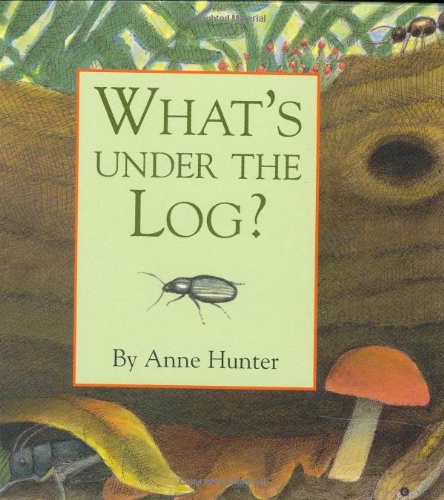 What's Under the Log? (Hidden Life) - 2942