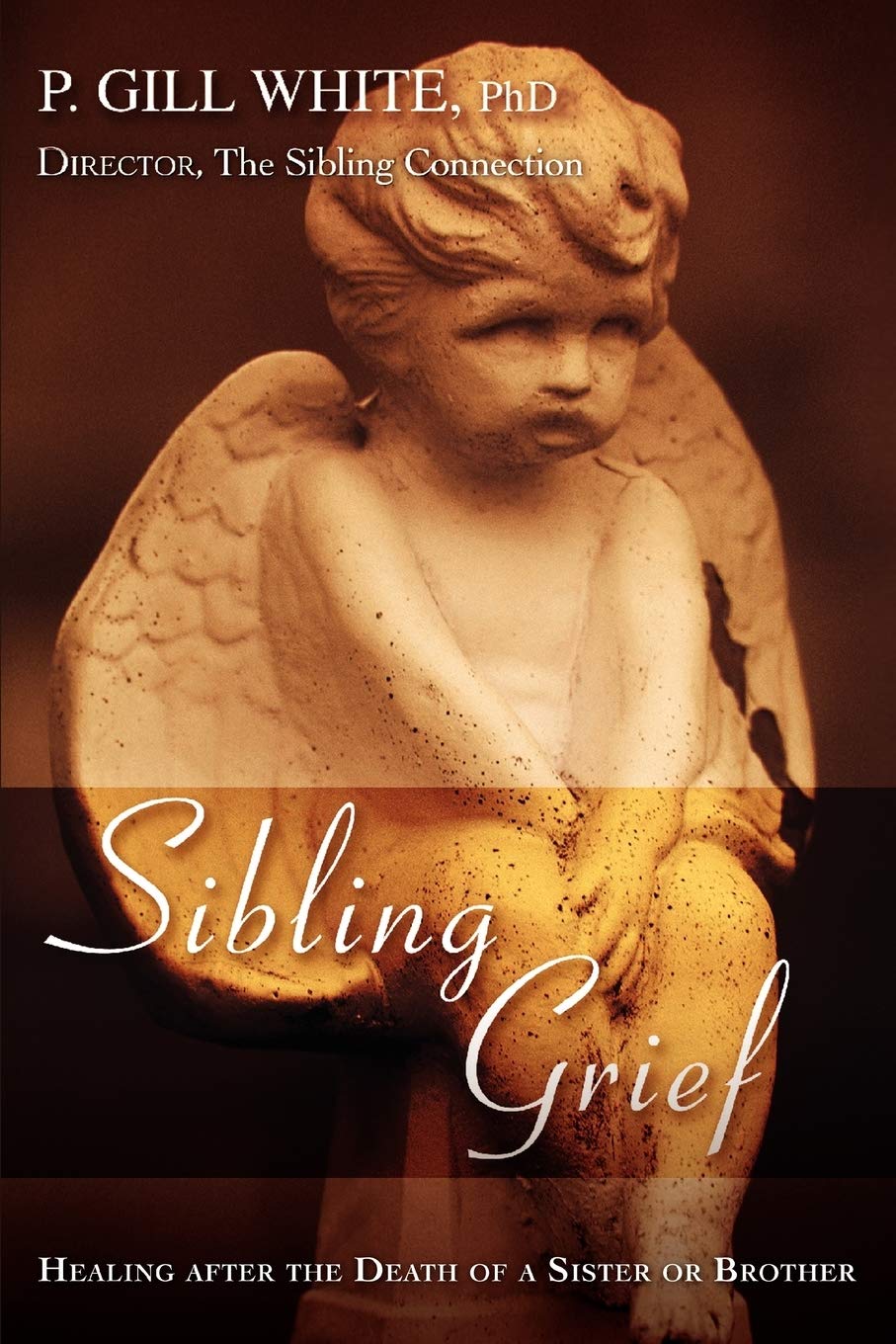 Sibling Grief: Healing After the Death of a Sister or Brother - 2842