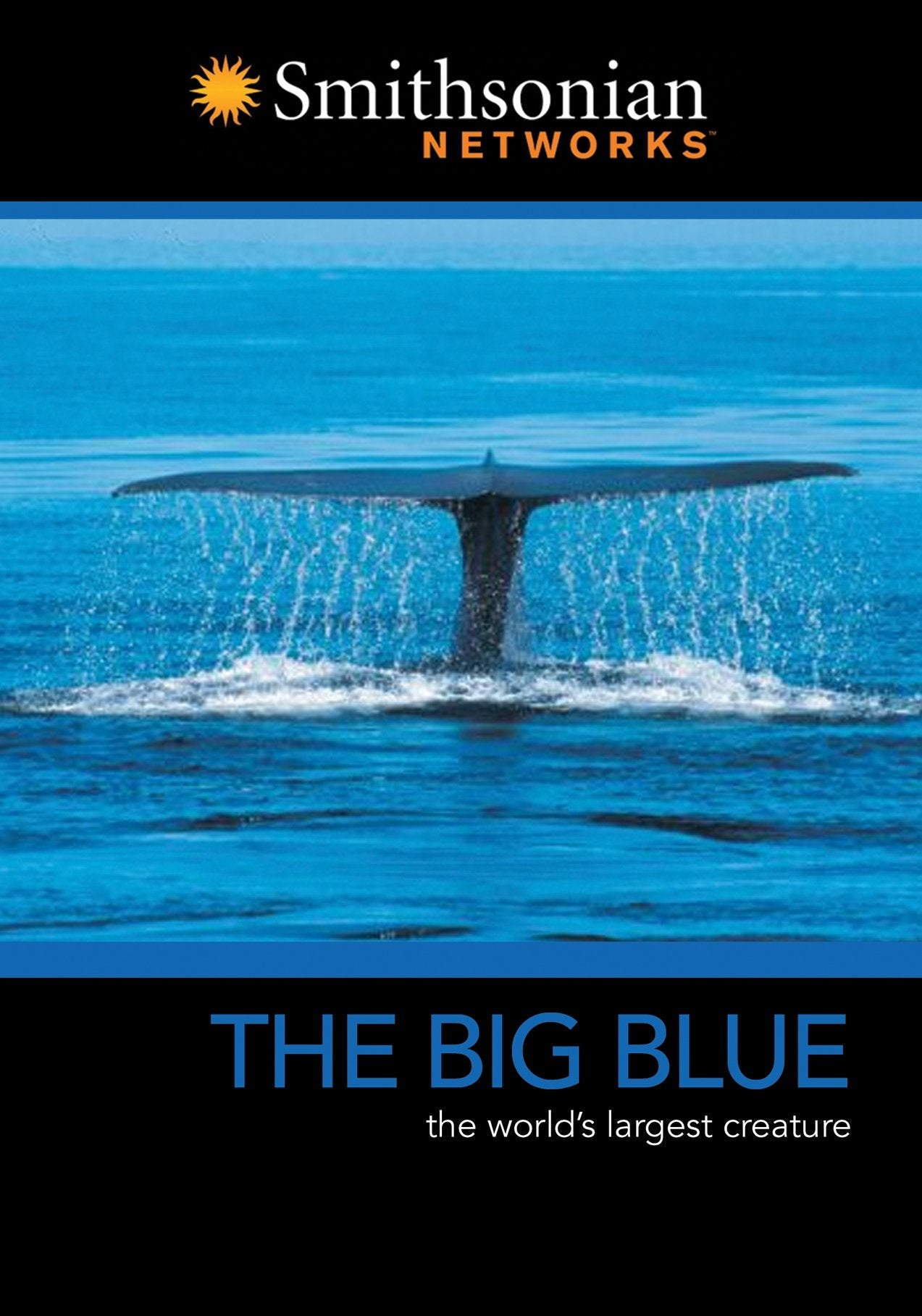 The Big Blue - 7106