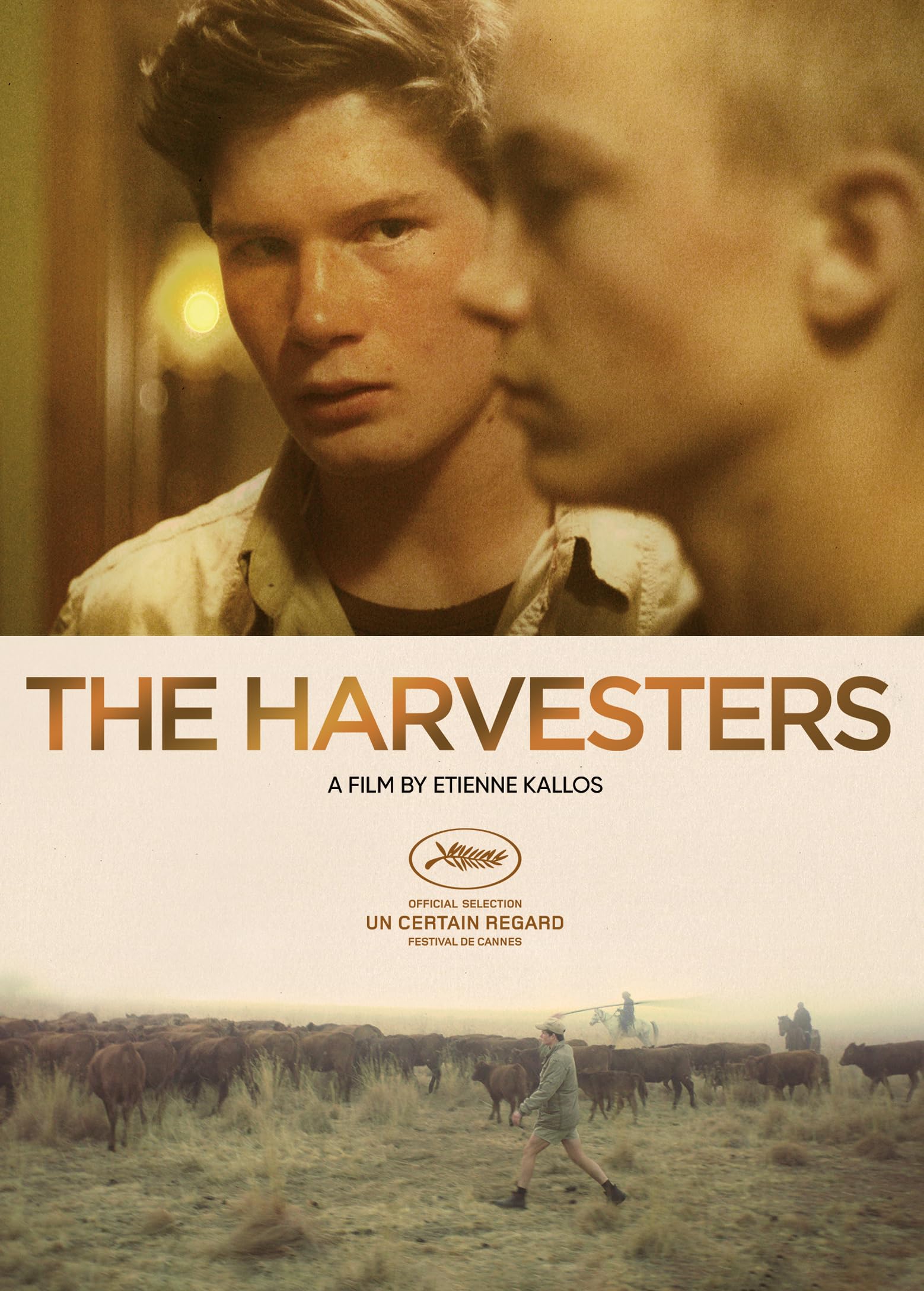 The Harvesters - 6489