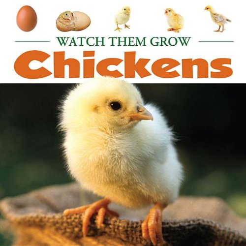 Chickens (Watch them Grow) - 6797