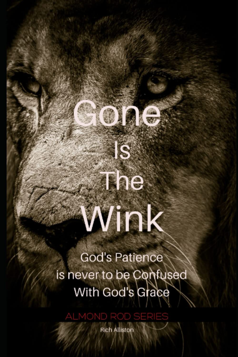 Gone is the Wink - 3493