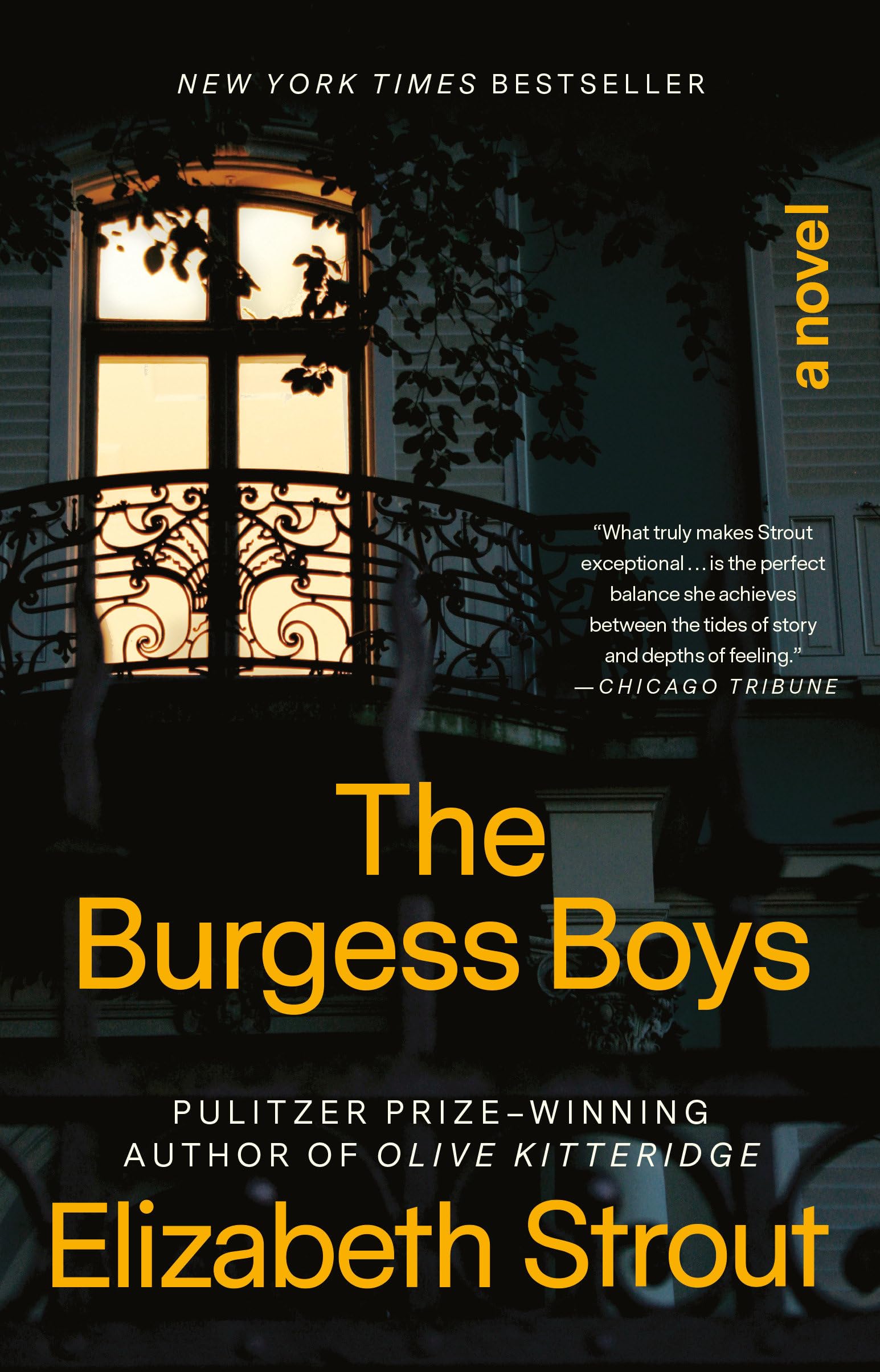 The Burgess Boys: A Novel - 9688