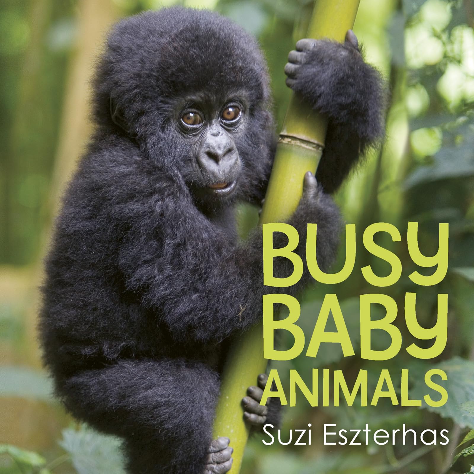 Busy Baby Animals - 916