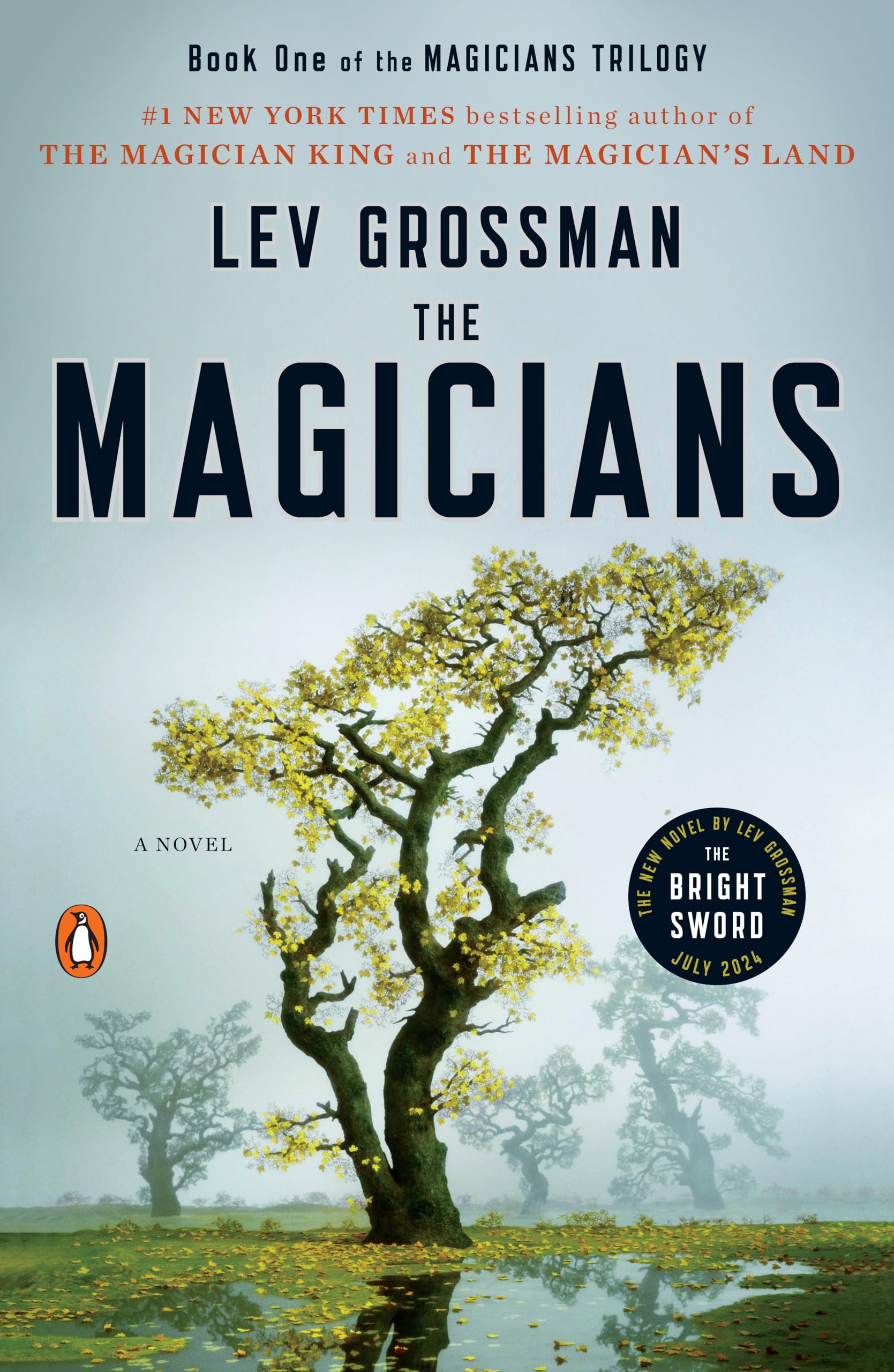 The Magicians: A Novel (Magicians Trilogy) - 7338