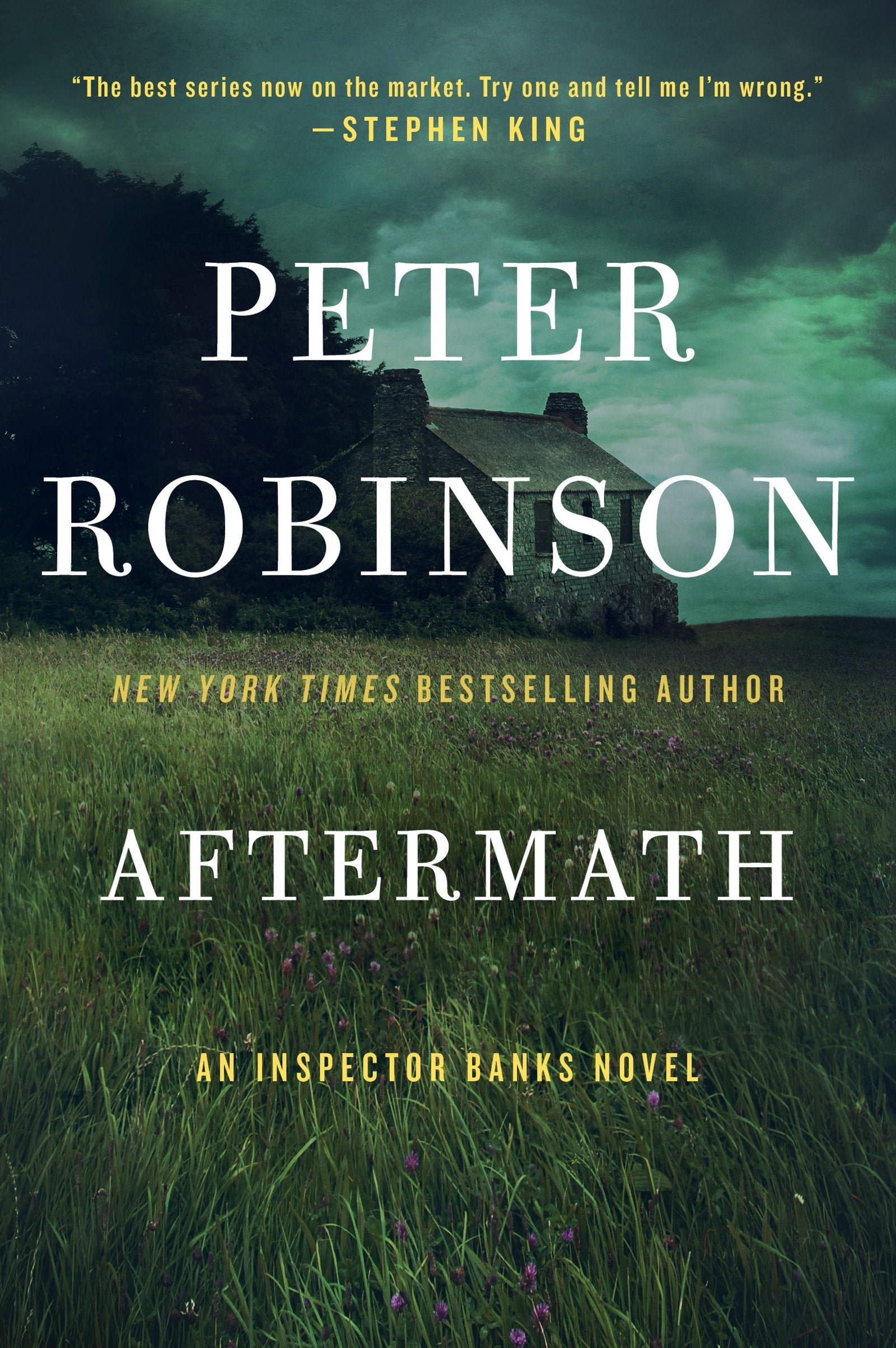 Aftermath: An Inspector Banks Novel (Inspector Banks Novels, 12) - 2130