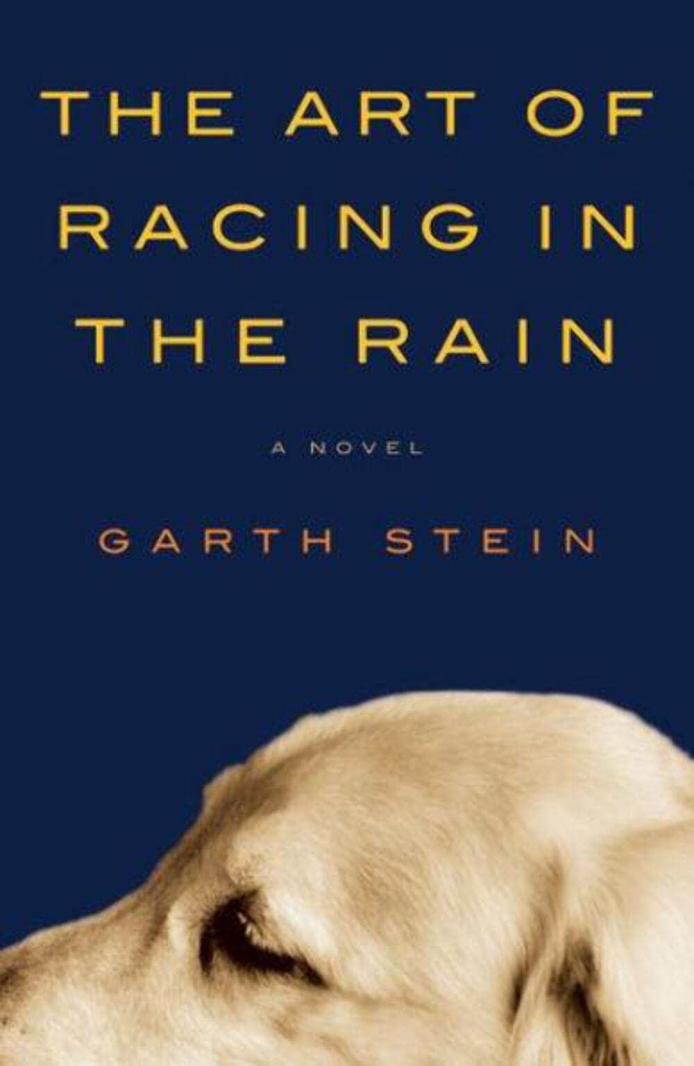 The Art of Racing in the Rain - 3170