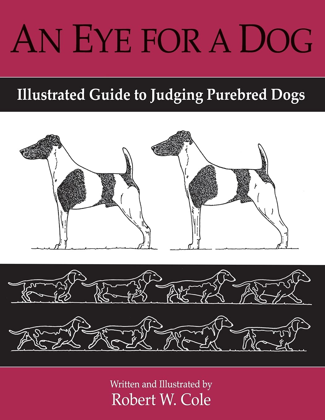 An Eye For a Dog: Illustrated Guide to Judging Purebred Dogs - 3730