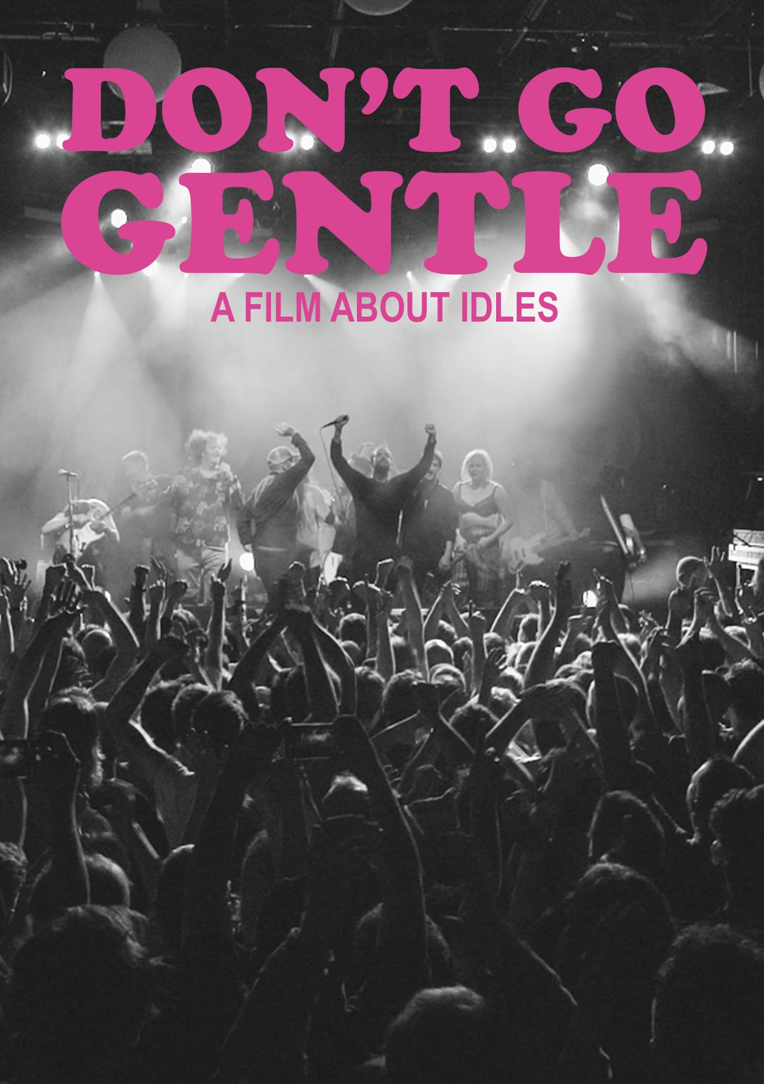 Don't Go Gentle: A Film About Idles - 8545