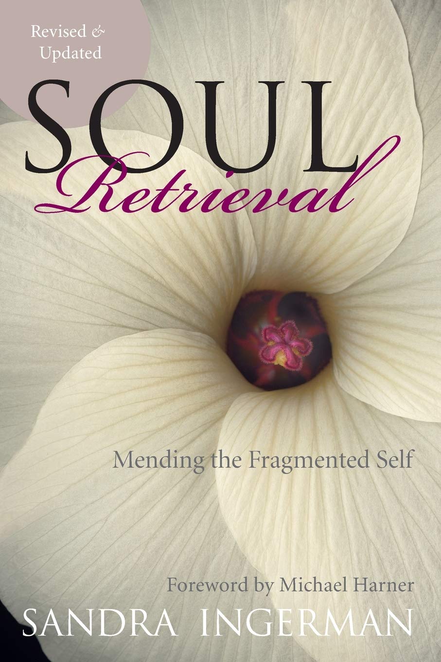 Soul Retrieval: Mending the Fragmented Self - 3787