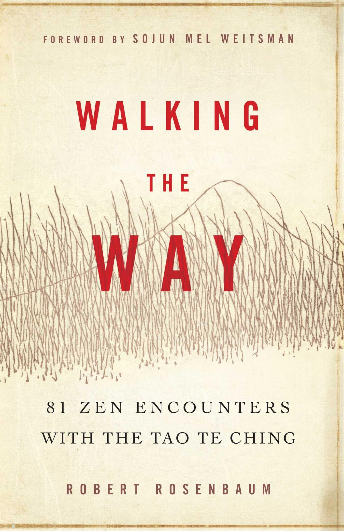 Walking the Way: 81 Zen Encounters with the Tao Te Ching - 2214