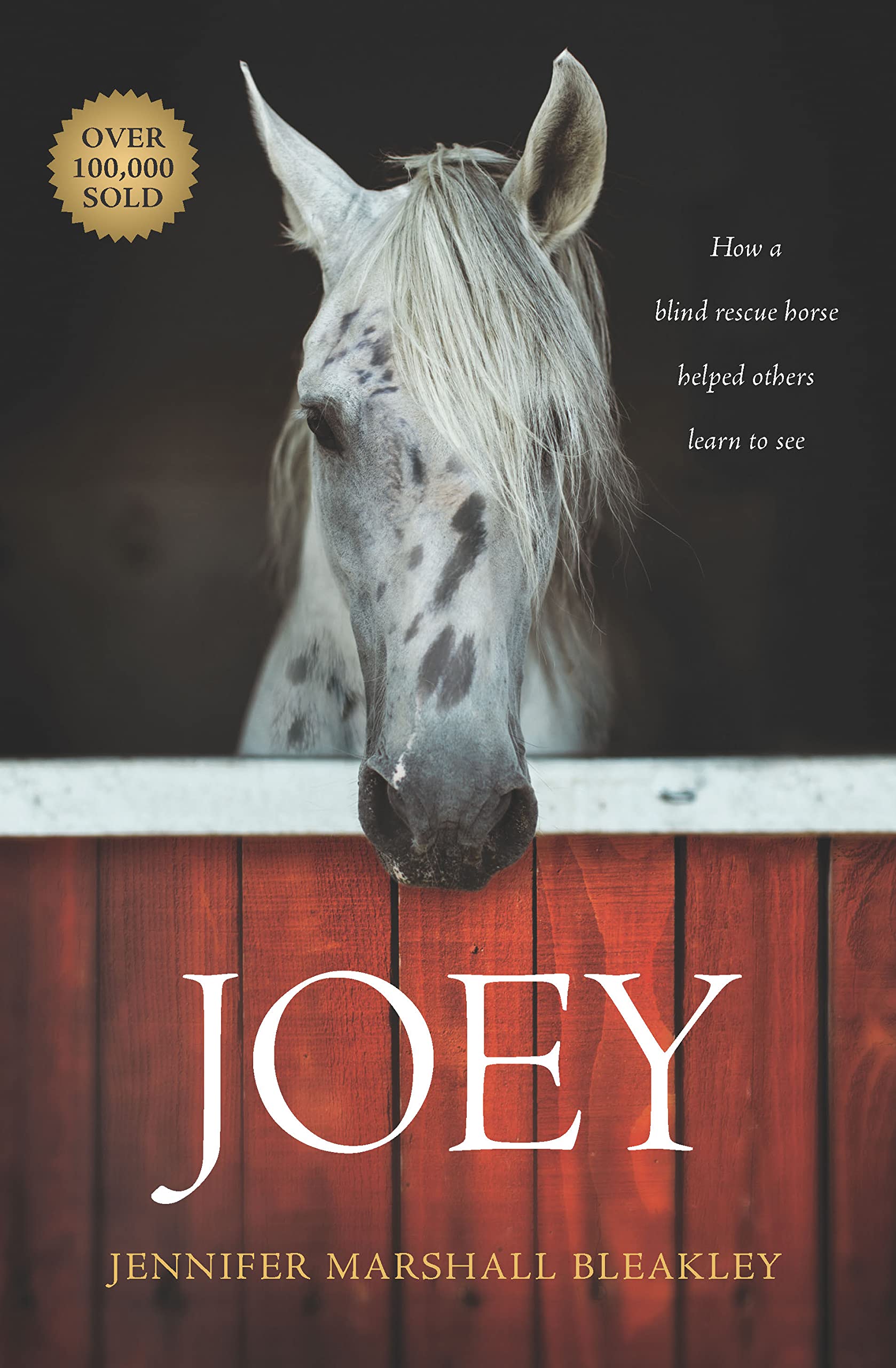 Joey: How a Blind Rescue Horse Helped Others Learn to See - 996