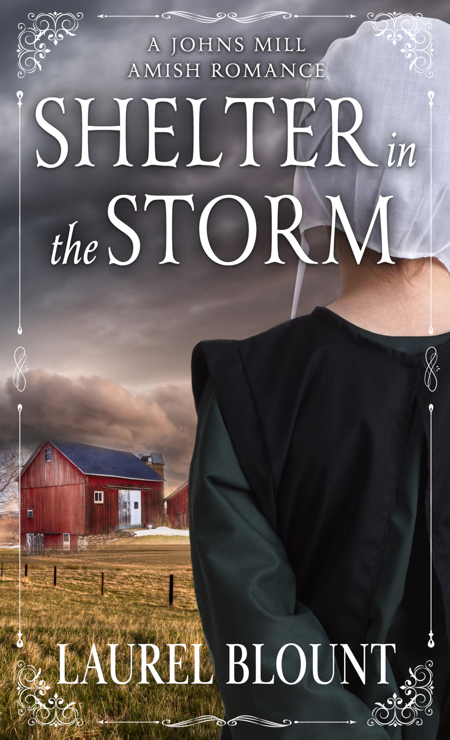 Shelter in the Storm (A Johns Mill Amish Romance, 1) - 2951