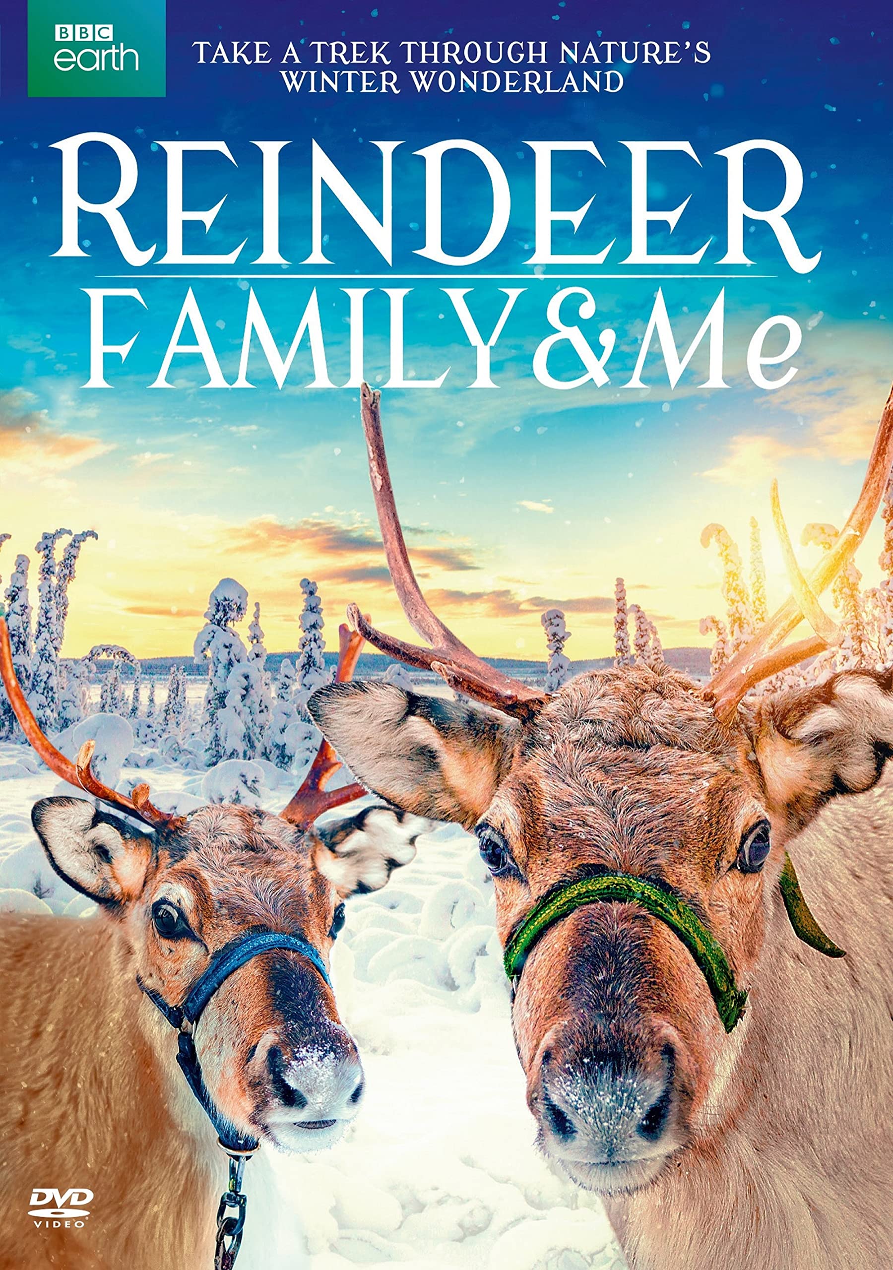 Reindeer Family & Me (DVD) - 6513