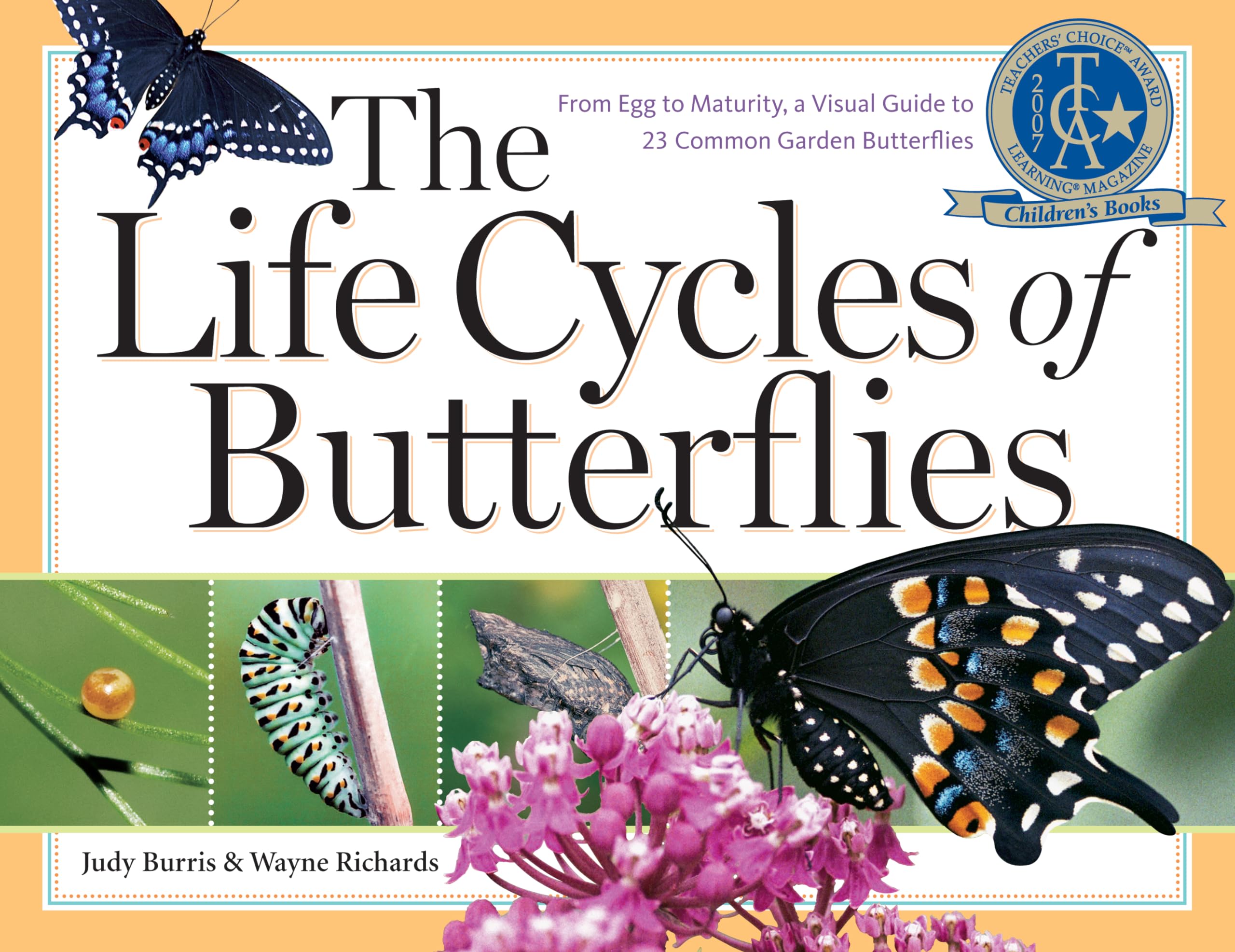 The Life Cycles of Butterflies: From Egg to Maturity, a Visual Guide to 23 Common Garden Butterflies - 8580