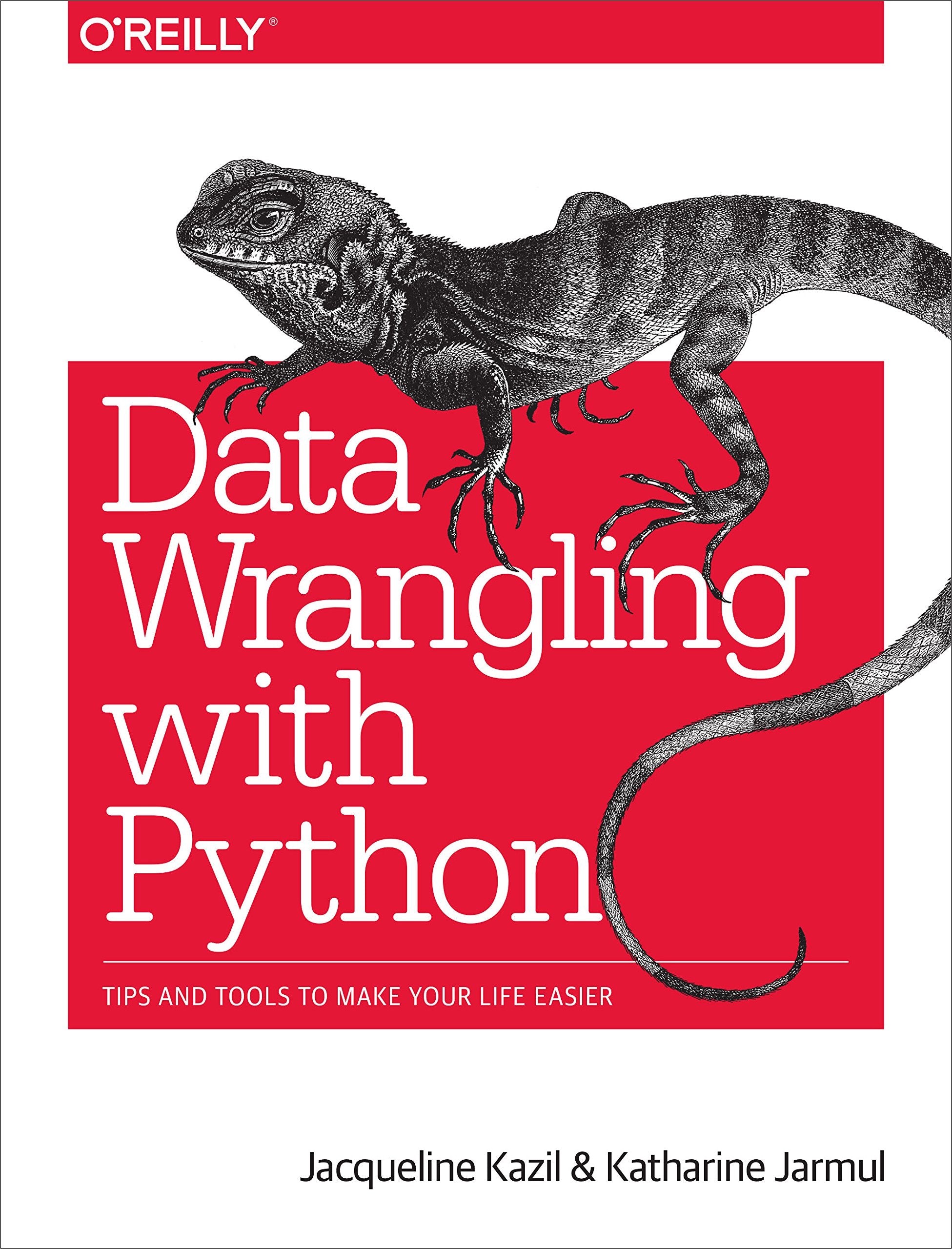 Data Wrangling with Python: Tips and Tools to Make Your Life Easier - 7990