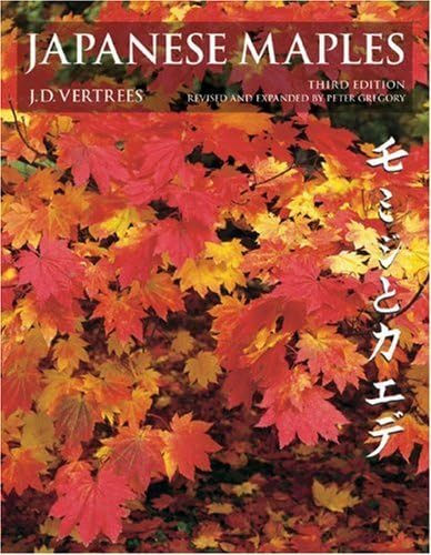 Japanese Maples: Momiji and Kaede - 7727