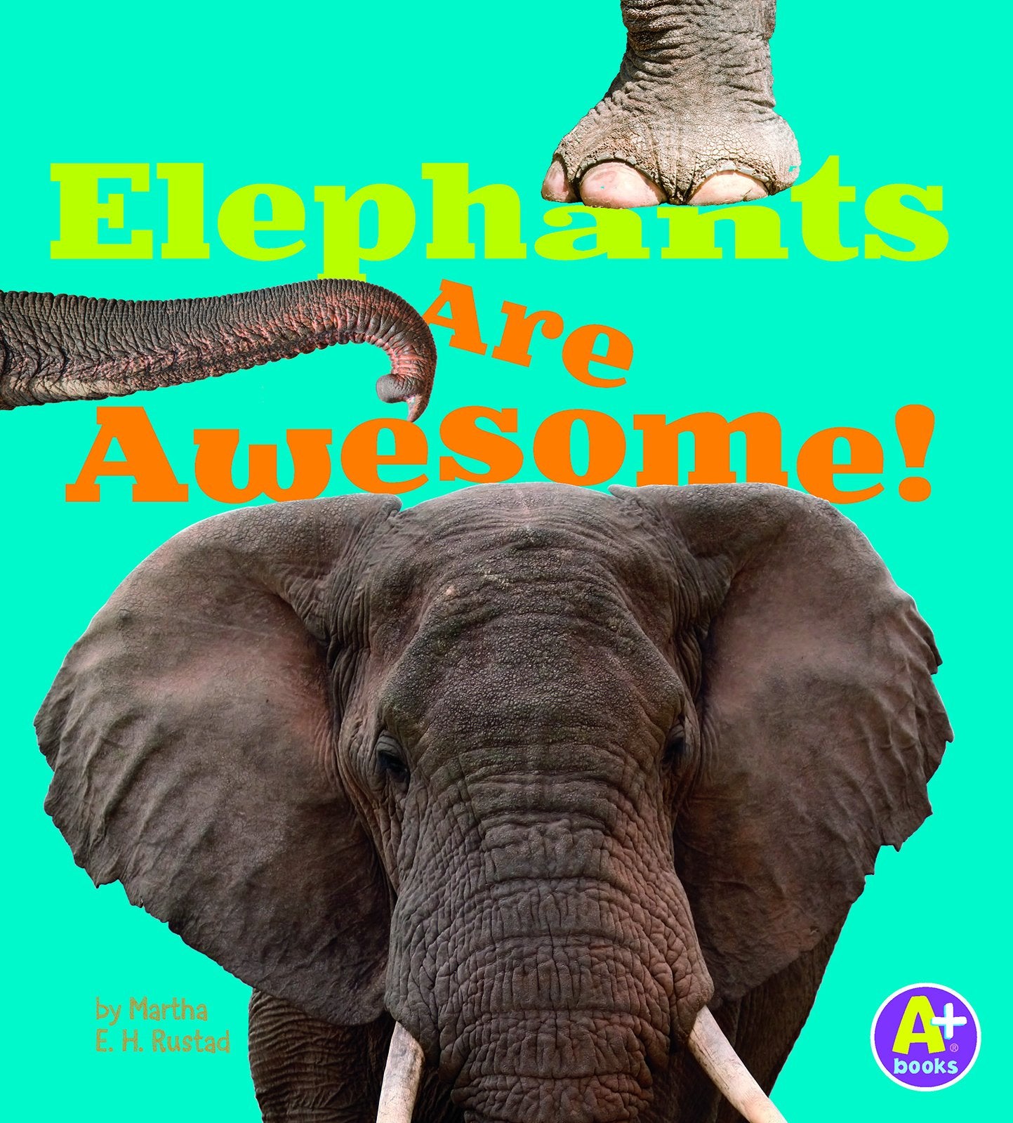 Elephants Are Awesome! (Awesome African Animals!) - 7722