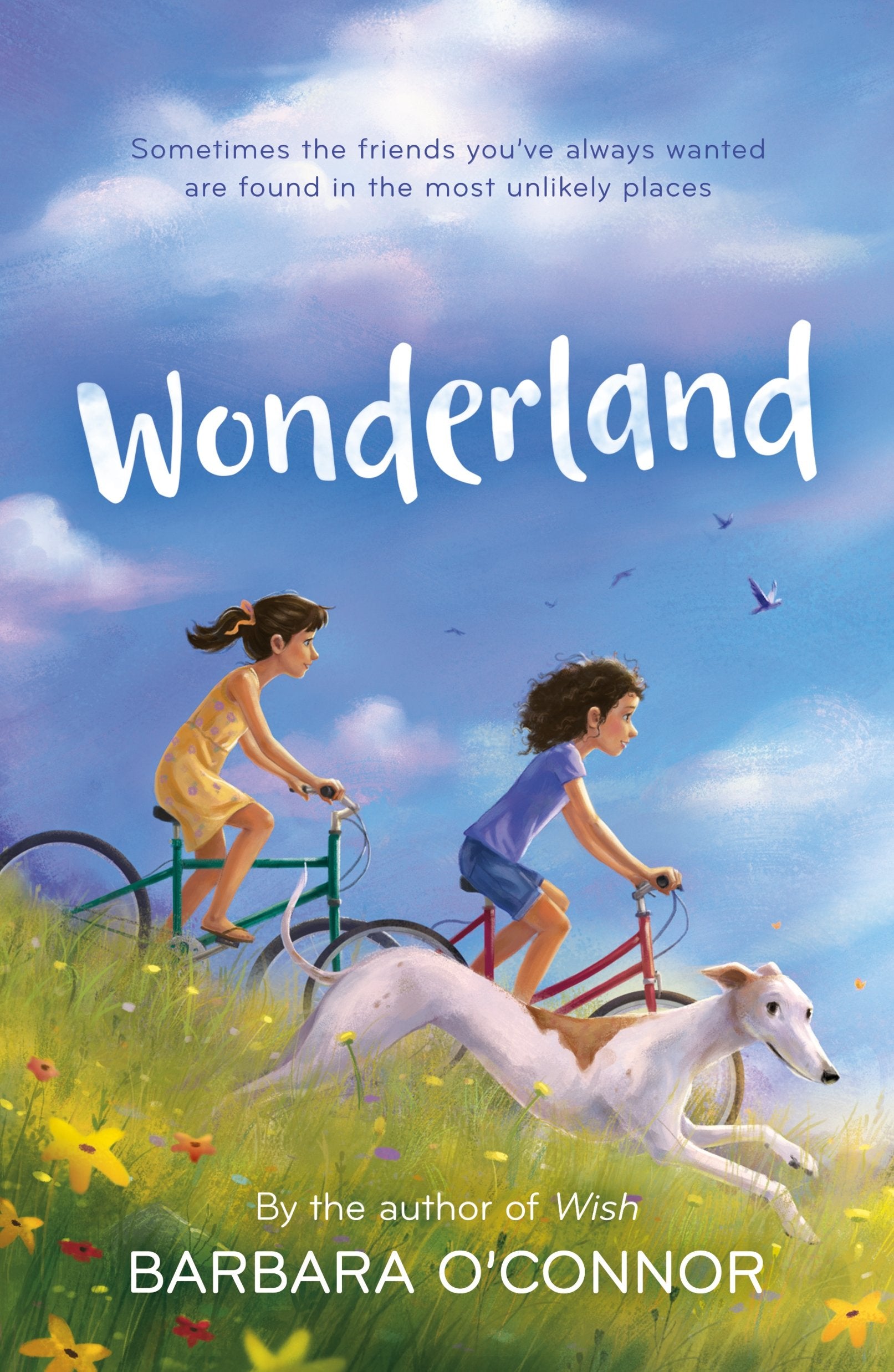 Wonderland: A Novel - 8483