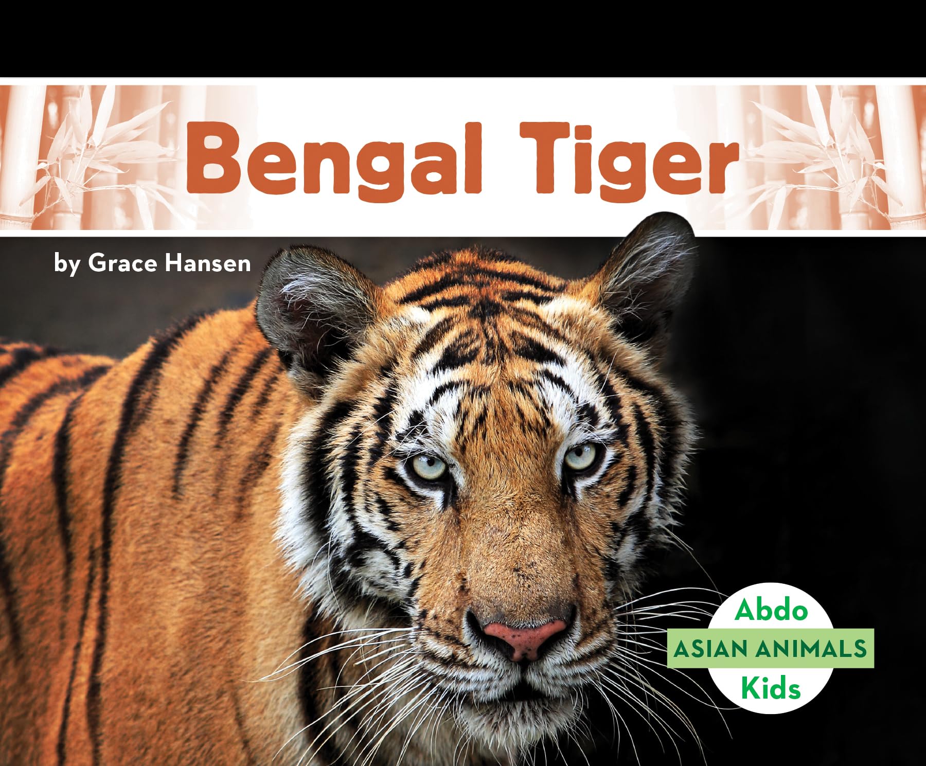 Bengal Tiger (Asian Animals) - 1179