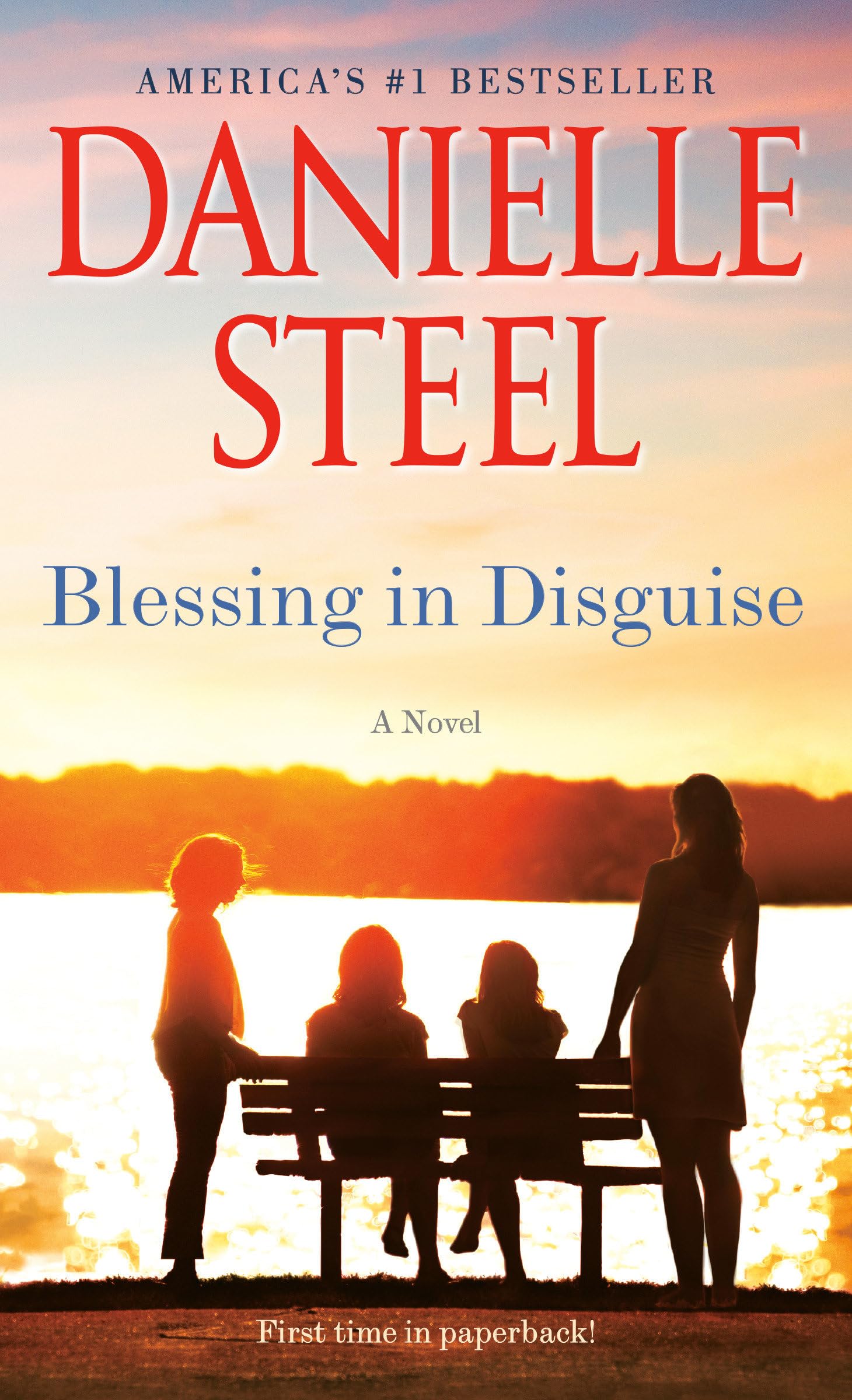 Blessing in Disguise: A Novel - 3852