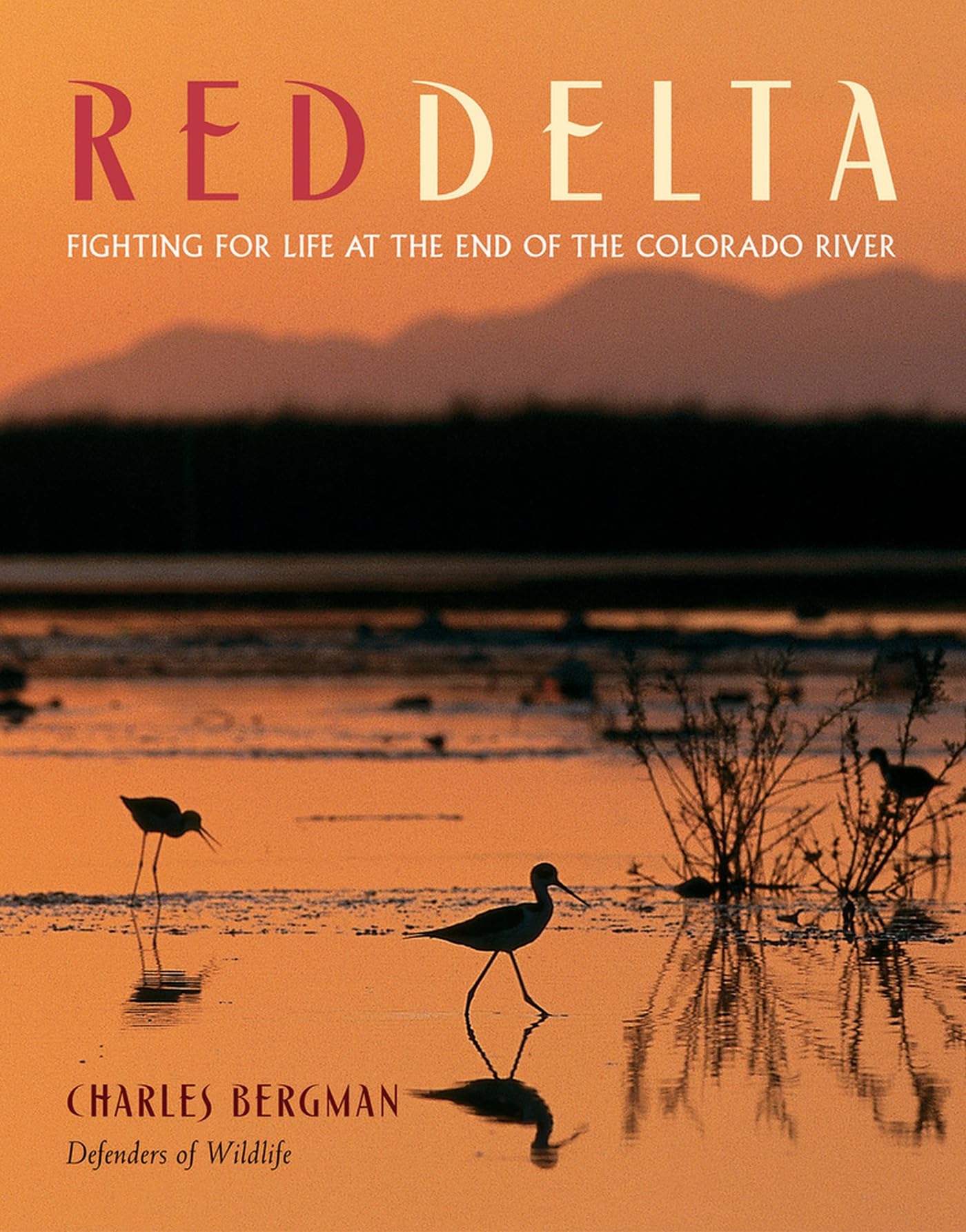 Red Delta: Fighting for Life at the End of the Colorado River - 1462