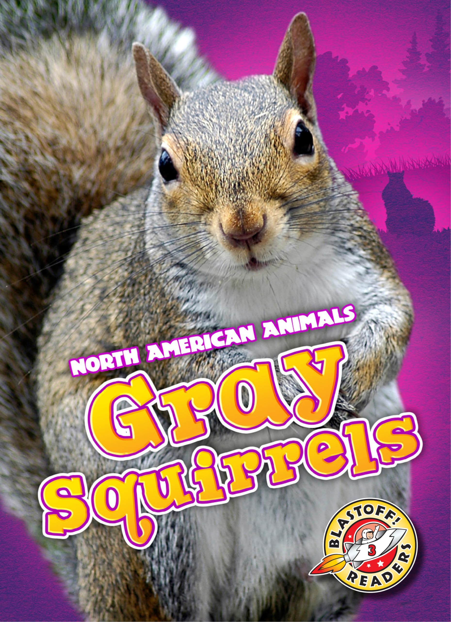 Gray Squirrels (North American Animals) - 8500