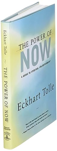 THE POWER OF NOW: A GUIDE TO SPI - 1830