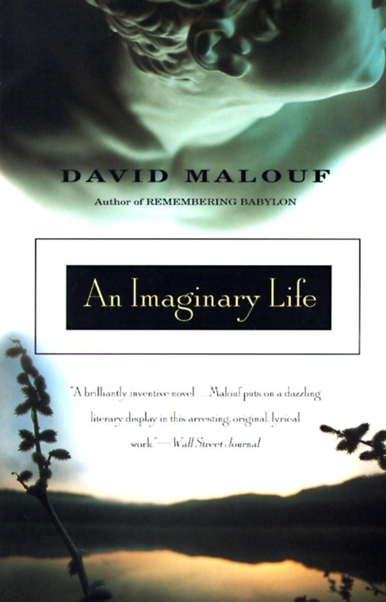 An Imaginary Life - 7091