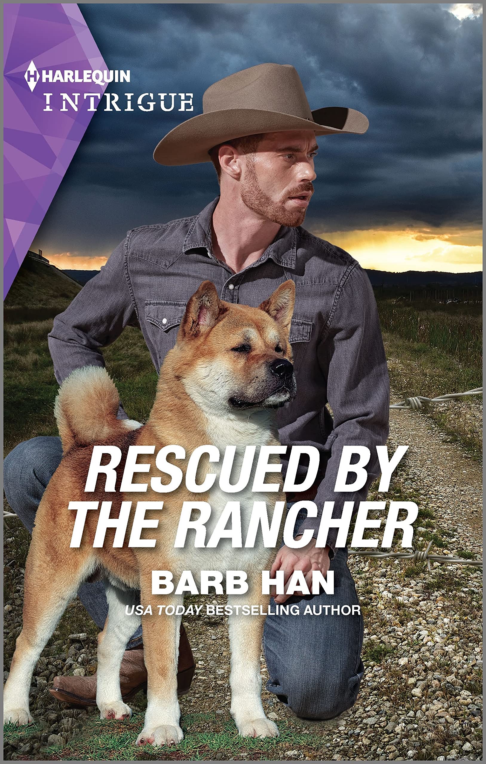 Rescued by the Rancher: A Montana Western Mystery (The Cowboys of Cider Creek, 1) - 5368