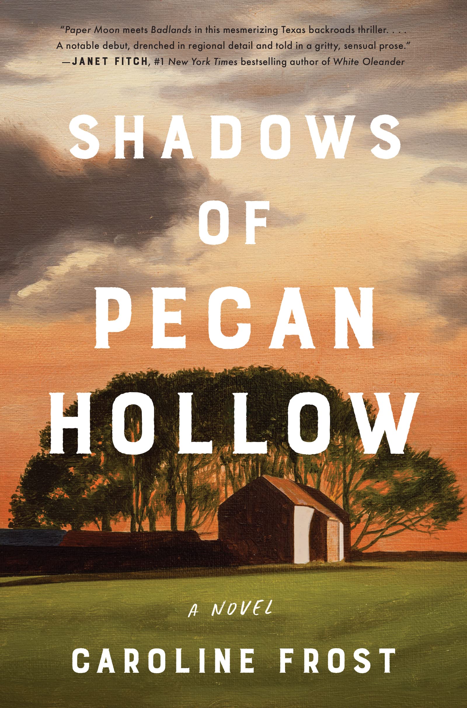 Shadows of Pecan Hollow: A Novel - 6468