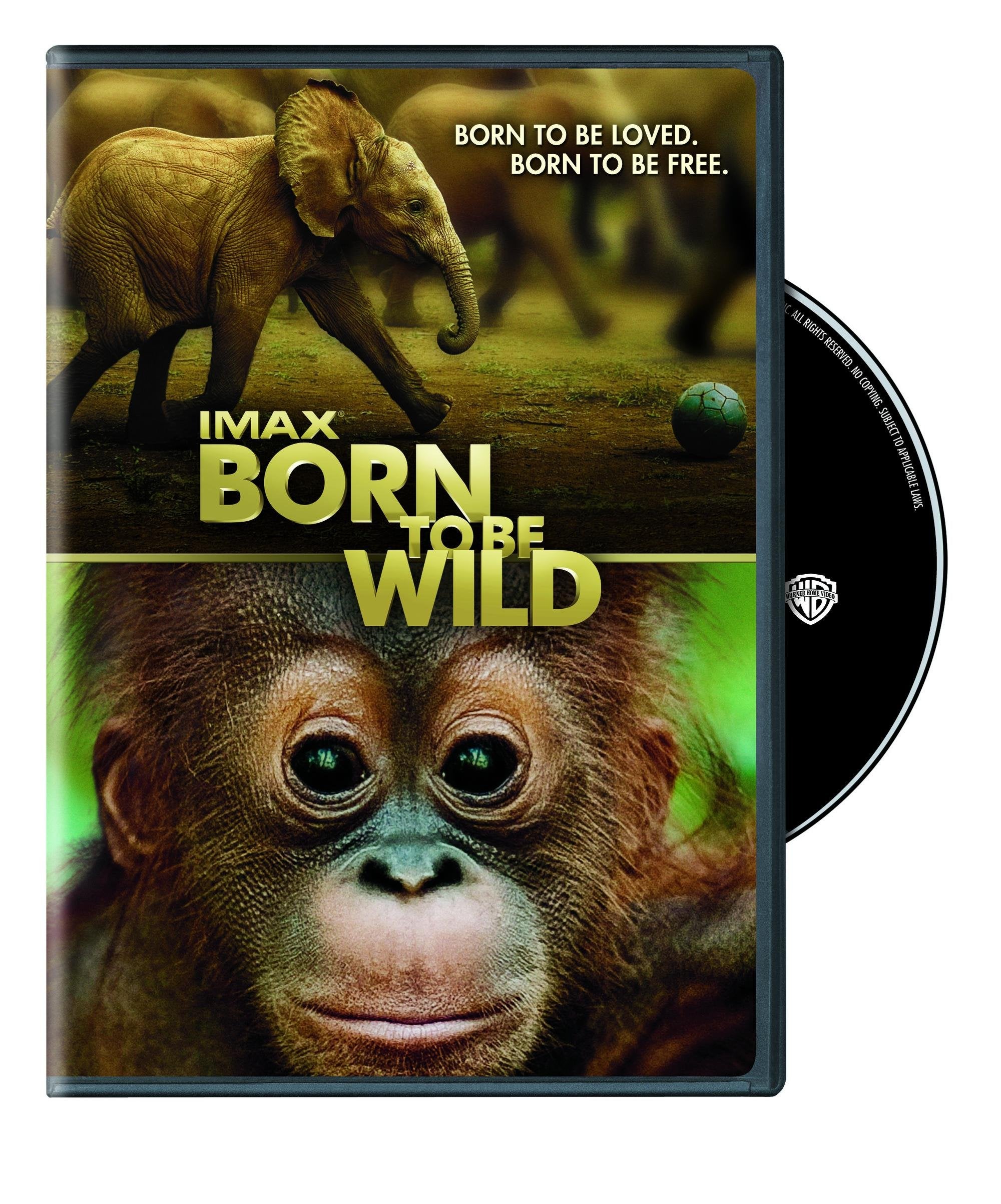 IMAX: BORN TO BE WILD - 9232