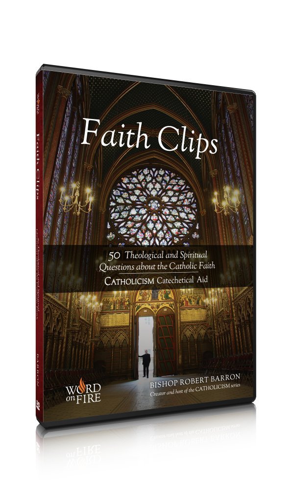 Faith Clips - 3389