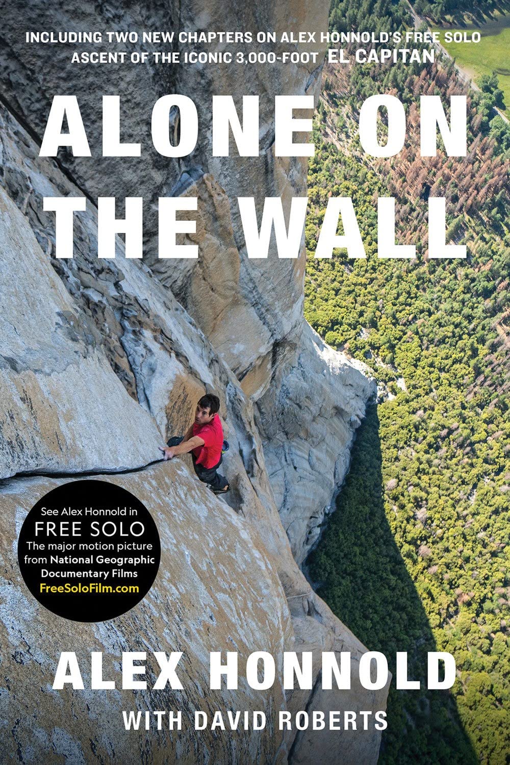 Alone on the Wall - 3908