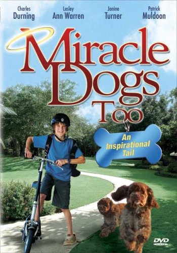 Miracle Dogs Too - 4333