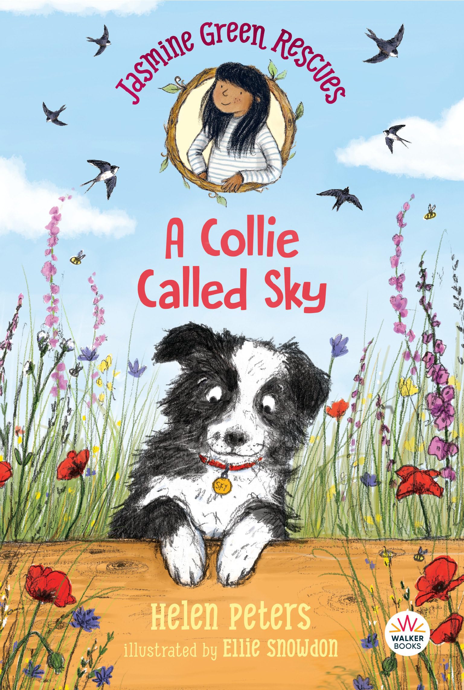 Jasmine Green Rescues: A Collie Called Sky - 6847