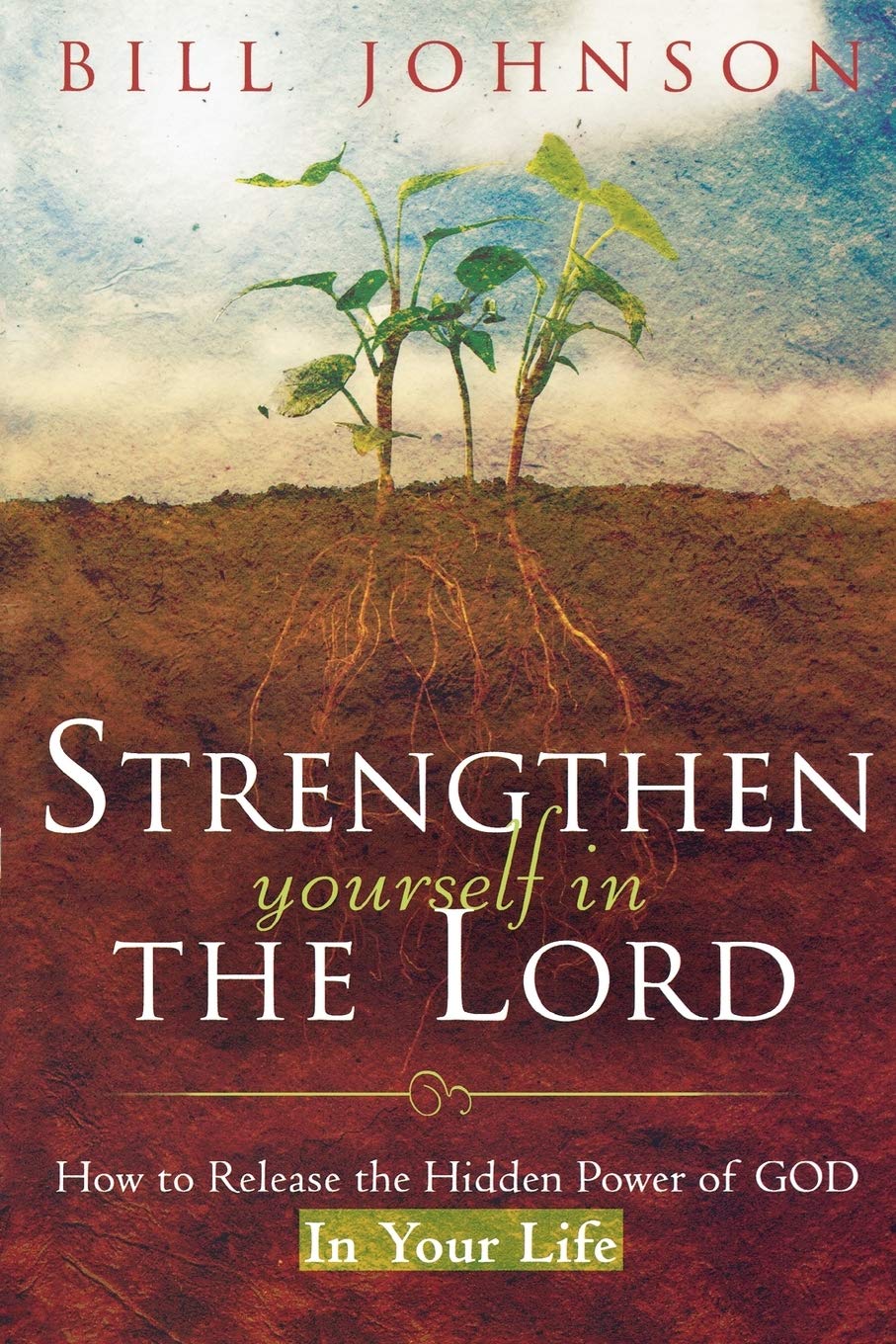 Strengthen Yourself in the Lord: How to Release the Hidden Power of God in Your Life - 1594