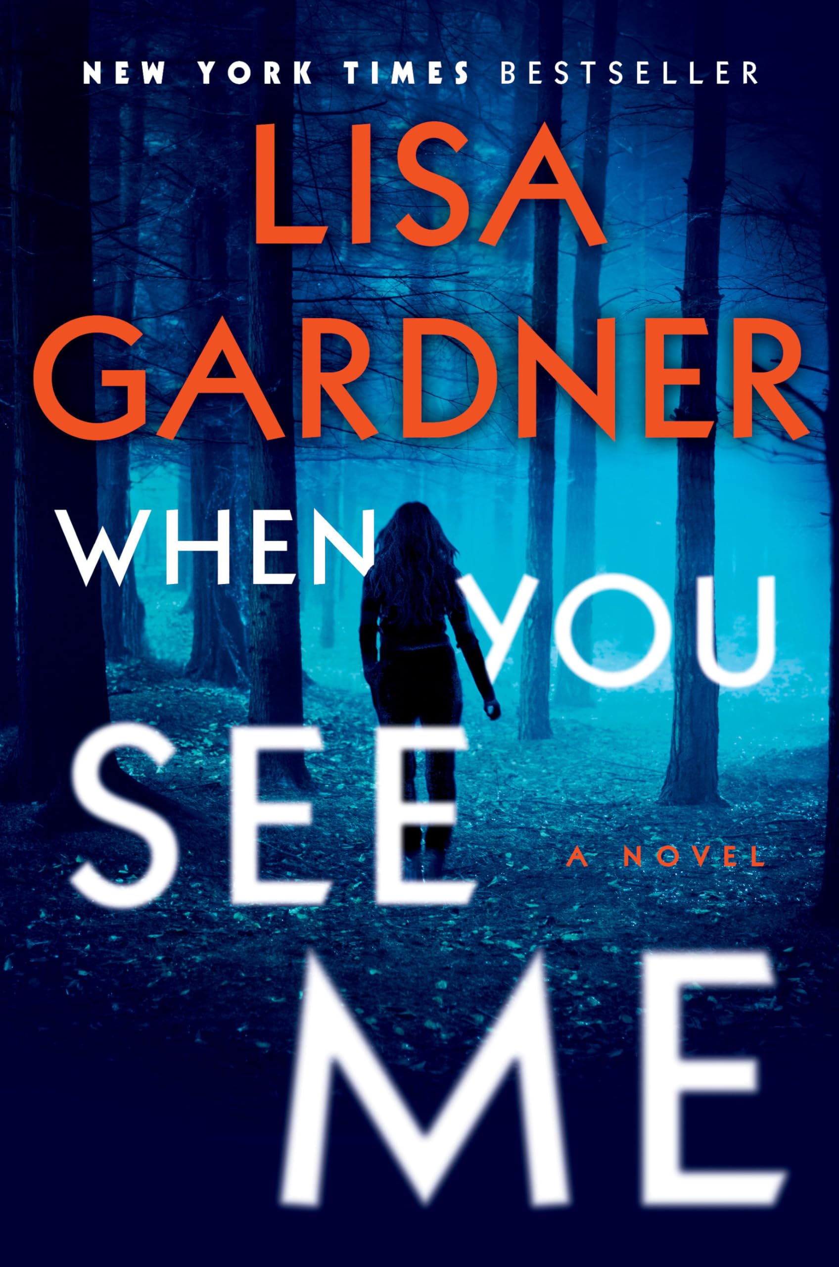 When You See Me: A Novel (Detective D. D. Warren) - 2838