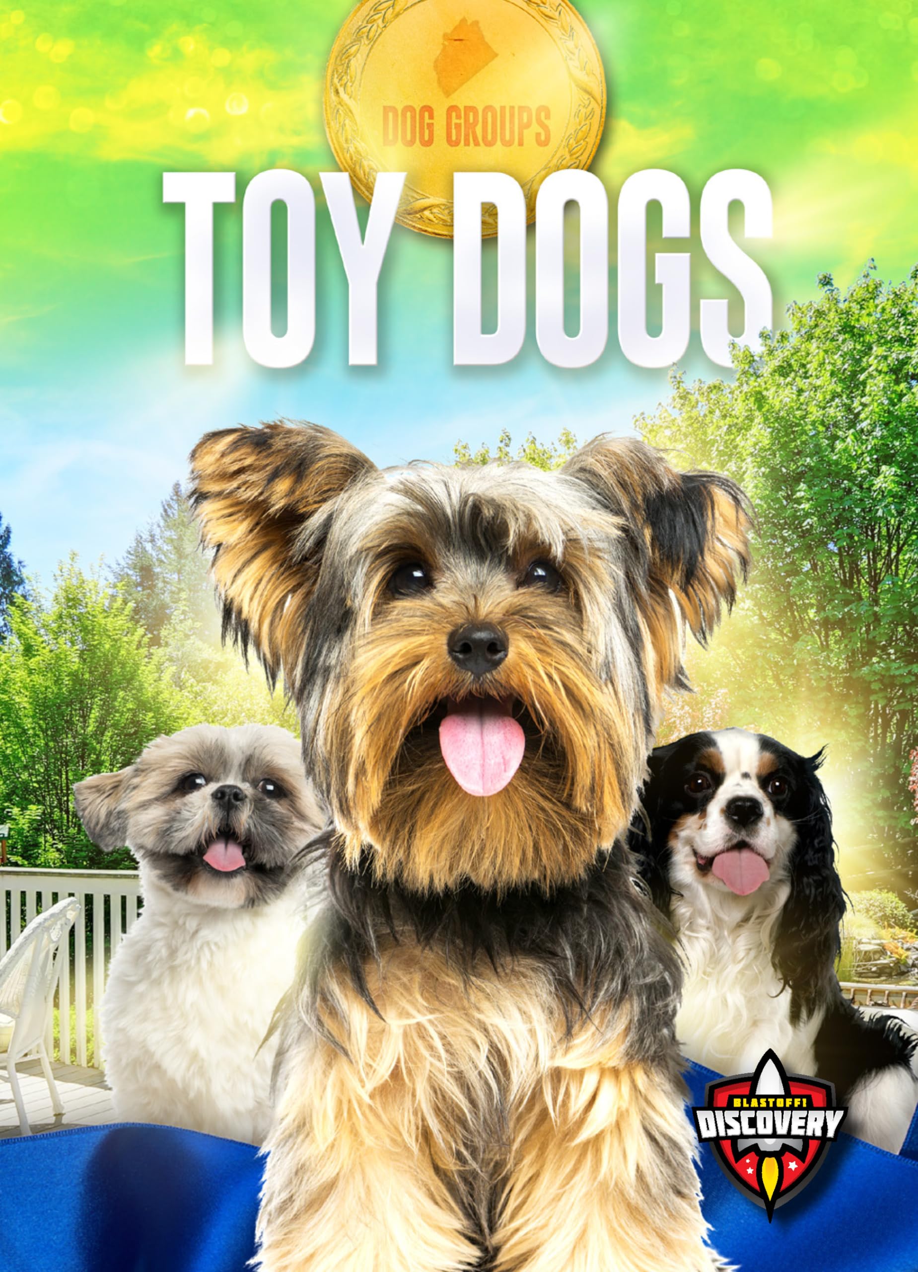 Toy Dogs (Dog Groups) - 9433