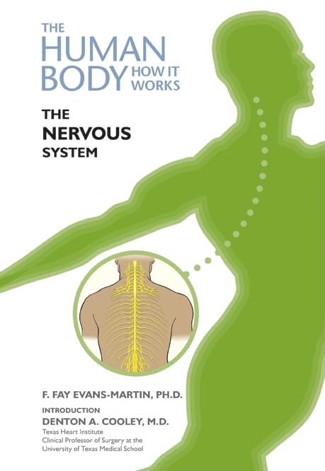 The Nervous System (The Human Body, How It Works) - 5167