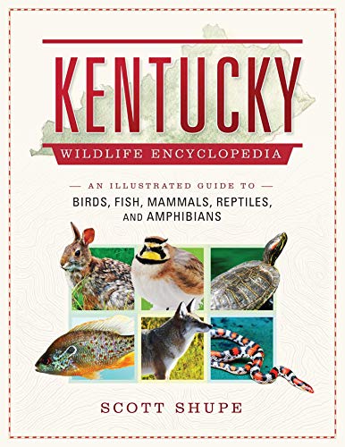 Kentucky Wildlife Encyclopedia: An Illustrated Guide to Birds, Fish, Mammals, Reptiles, and Amphibians - 2934